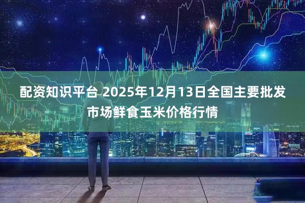配资知识平台 2025年12月13日全国主要批发市场鲜食玉米价格行情